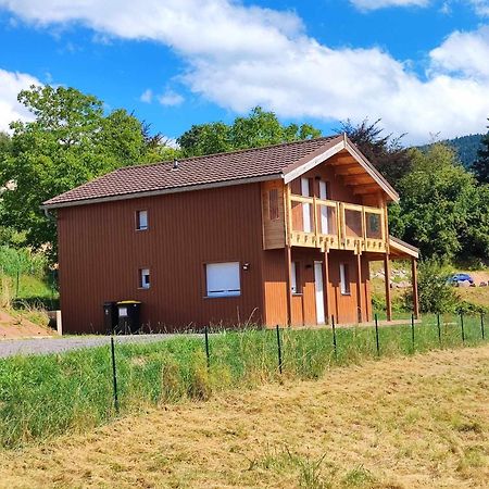 Chalet Les Boudieres 6 Pers Pres Gerardmer Cosy Billard Fraize Εξωτερικό φωτογραφία
