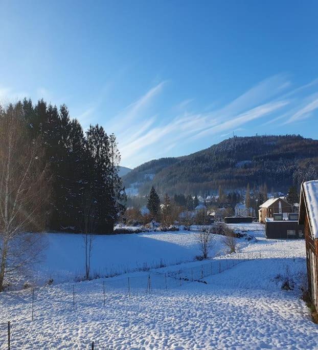 Chalet Les Boudieres 6 Pers Pres Gerardmer Cosy Billard Fraize Εξωτερικό φωτογραφία